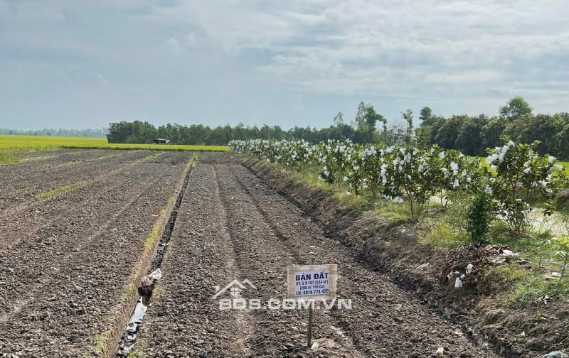 Chính Chủ Bán 534m2 Đất Tại Xã Hòa Bình, Huyện Chợ Mới, Tỉnh An Giang. Pháp Lý Đầy Đủ
