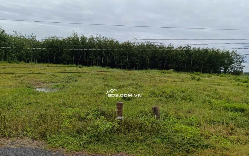 Chính Chủ Bán 1043,1m2 Đất Mặt Tiền Đường Trung Tâm Cụm Xã Nhựa Tại Hoà Hiệp, Tân Biên