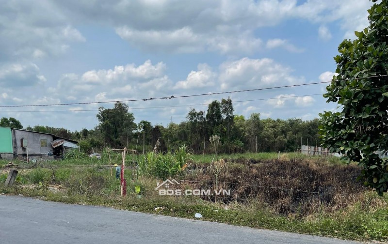 Bán Đất 1696M2 Có 139M2 Thổ Cư,Ngang 19Mx89M,Mặt Tiền Đường Tỉnh 829 Huyện Tân Thạnh Long An