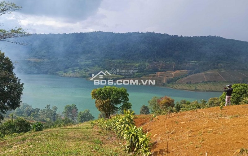 ĐẤT VIEW HỒ NGỌC, PHƯỜNG 2 BẢO LỘC –  2.594m² (700m² thổ cư)