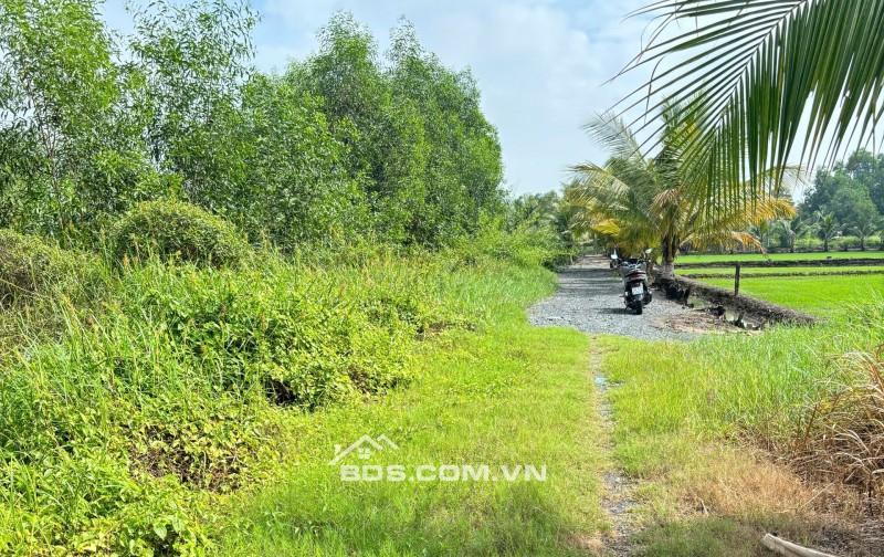 Chính Chủ 179m2 Đất Tại Ấp 2, Xã Hữu Thạnh, Huyện Đức Hoà, Long An. Full Thổ Cư.