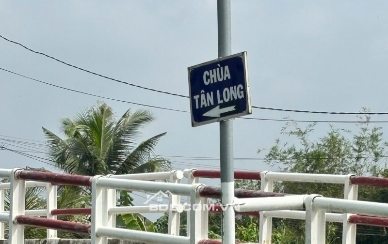 Chính Chủ 179m2 Đất Tại Ấp 2, Xã Hữu Thạnh, Huyện Đức Hoà, Long An. Full Thổ Cư.
