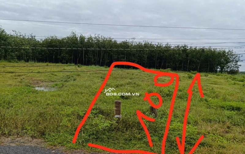 Chính Chủ Bán 1043,1m2 Đất Mặt Tiền Đường Trung Tâm Cụm Xã Nhựa Tại Hoà Hiệp, Tân Biên