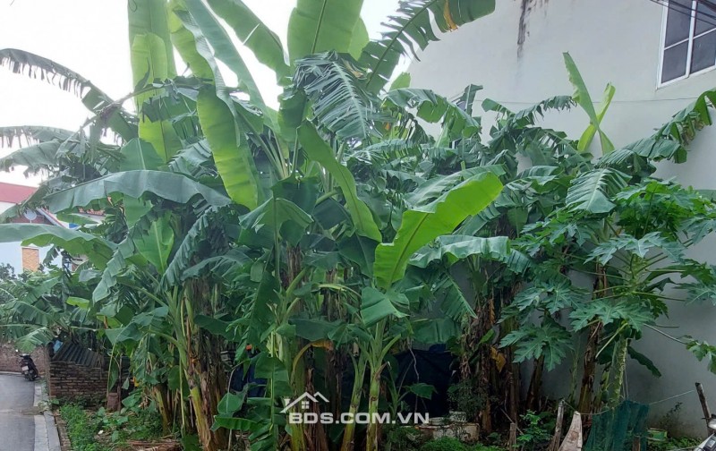 Bán đất Hải Bối Đông Anh Hn 42.5m2