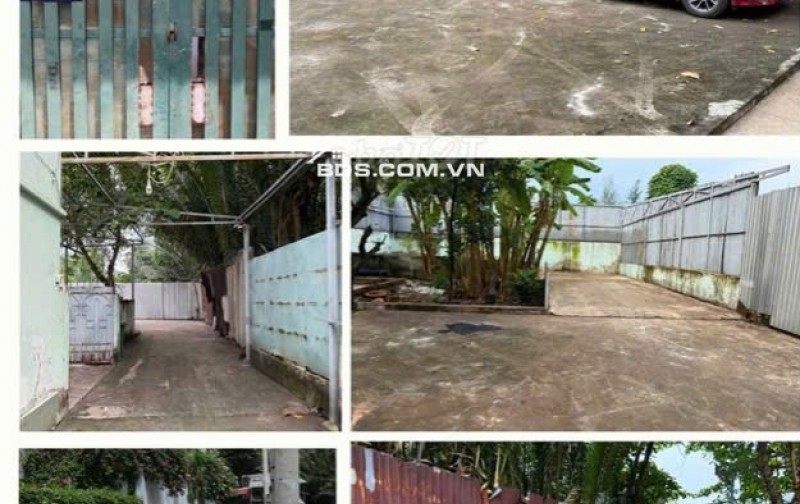 Bán nhà vườn 701m2 vuông vức siêu đẹp ở KDC Hiệp Bình Chánh Thủ Đức