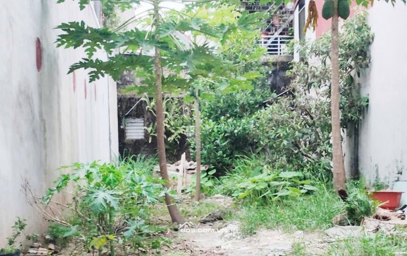 Bán Đất, Ngõ Ô TÔ, Thuận Thành, Bắc Ninh 99m, mt 5.2m, giá 5.2 tỷ.