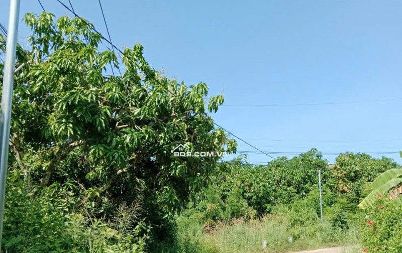 Chính Chủ Cần Bán Đất Nghỉ Dưỡng View Hồ Trị An Cực Đẹp - Thoáng Mát Tại La Ngà – Định Quán – Đồng Nai