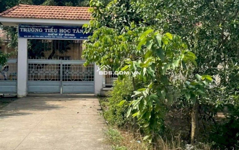 Bán Đất 1696M2 Có 139M2 Thổ Cư,Ngang 19Mx89M,Mặt Tiền Đường Tỉnh 829 Huyện Tân Thạnh Long An