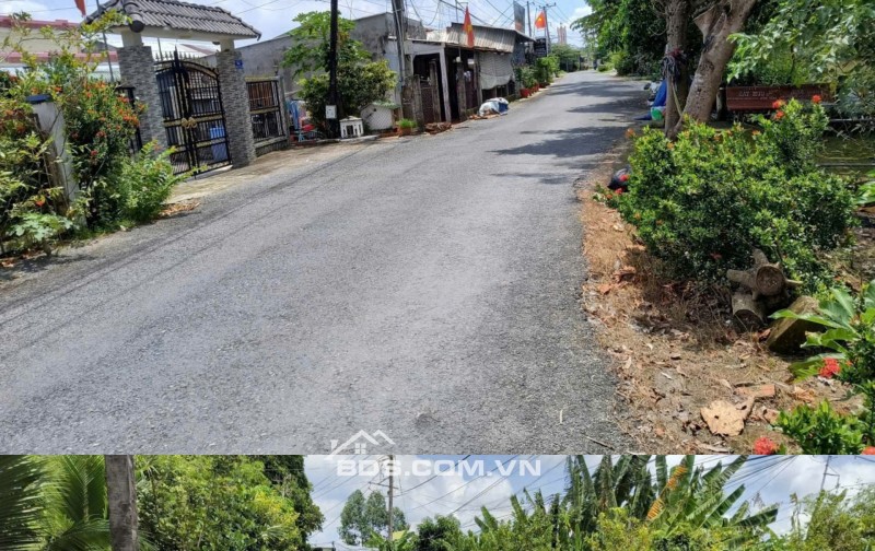 Chính Chủ Bán Nhà Đất 722,8m2 Mặt Tiền Đường Nhựa Lê Hồng Phong Tại Thị Trấn Lai Vung, Đồng Tháp.