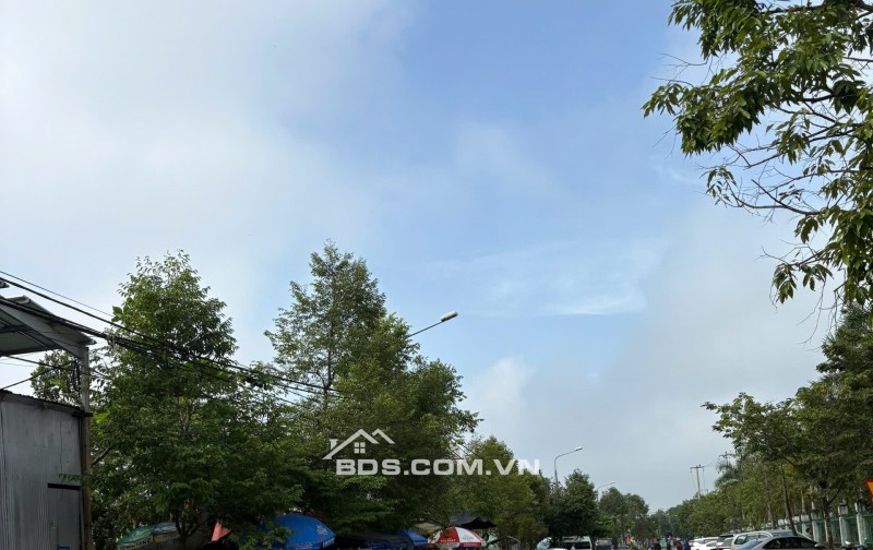 Vị trí vàng kinh doanh buôn bán, giá chỉ 6,5 tr/m2