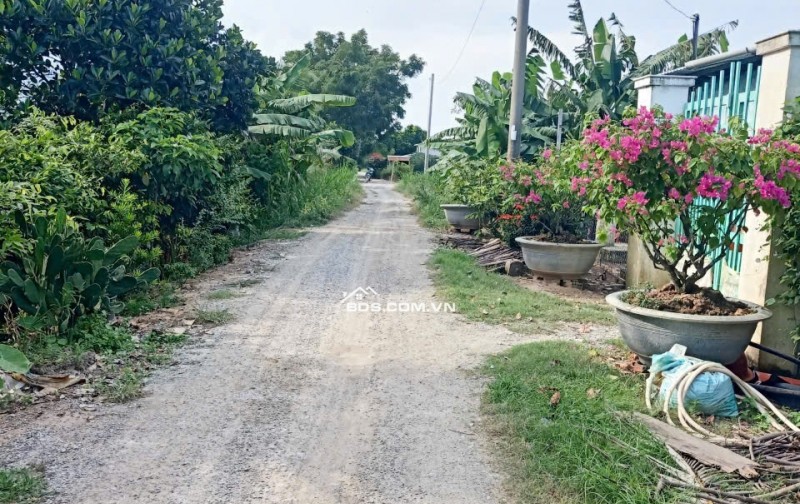 Chính Chủ Bán 534m2 Đất Tại Xã Hòa Bình, Huyện Chợ Mới, Tỉnh An Giang. Pháp Lý Đầy Đủ