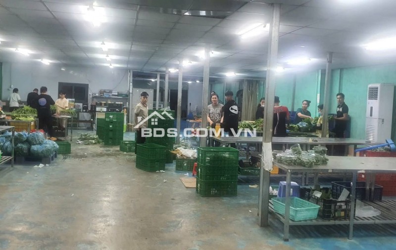 Cho thuê kho xưởng 900m2 An Phú Đông Quận 12