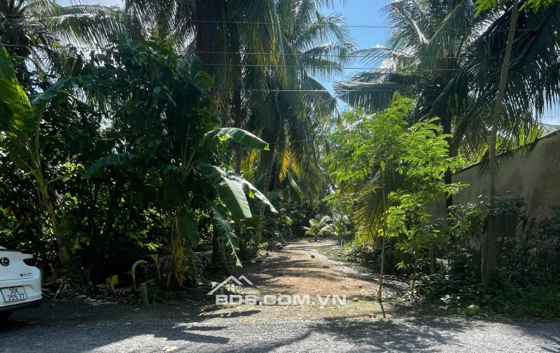 ĐẤT VƯỜN DỪA 1500 M2 ĐANG THU HOẠCH (CÓ 200 M2 THỎ CƯ), LỘ  NHỰA 5 TẤN