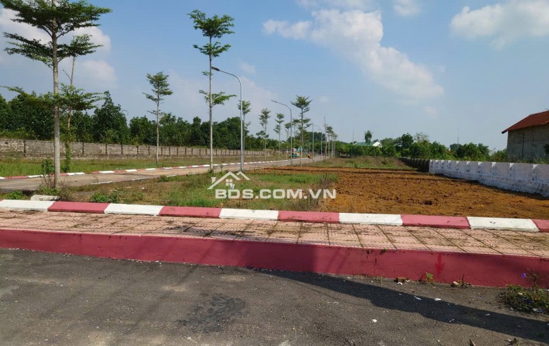 Chính chủ bán đất tại La gián, Cổ đông, sơn tây 100m2 MT 5.50m giá FO cho nhà đầu tư.