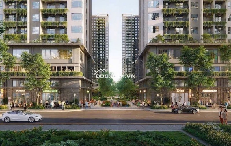CĂN HỘ CAO CẤP THE WINCITY - THẮNG LỢI GROUP LIÊN DANH CENTRAL - GỖ AN CƯỜNG