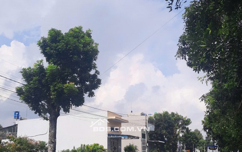 Cần Bán Nhà Mặt Tiền Bến Lức Long An