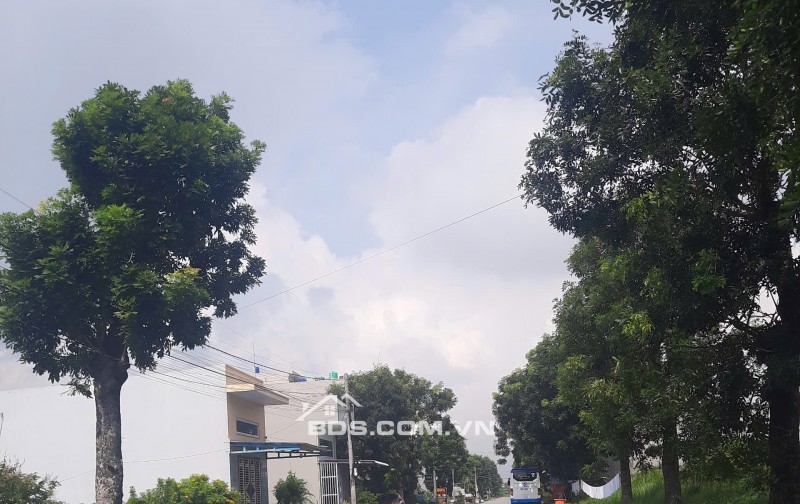 Cần Bán Nhà Mặt Tiền Bến Lức Long An