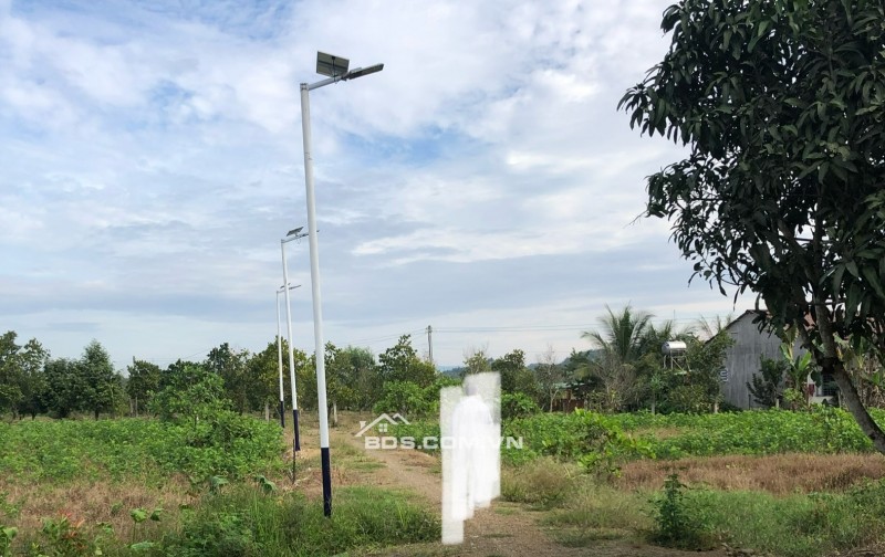 Bán 2,5 hecta đất vườn sổ hồng , ngoài sổ 4000m, có 400m2 thổ cư. Huyện Đạ Tẻh, Tỉnh Lâm Đồng.