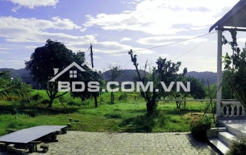 Bán 2,5 hecta đất vườn sổ hồng , ngoài sổ 4000m, có 400m2 thổ cư. Huyện Đạ Tẻh, Tỉnh Lâm Đồng.