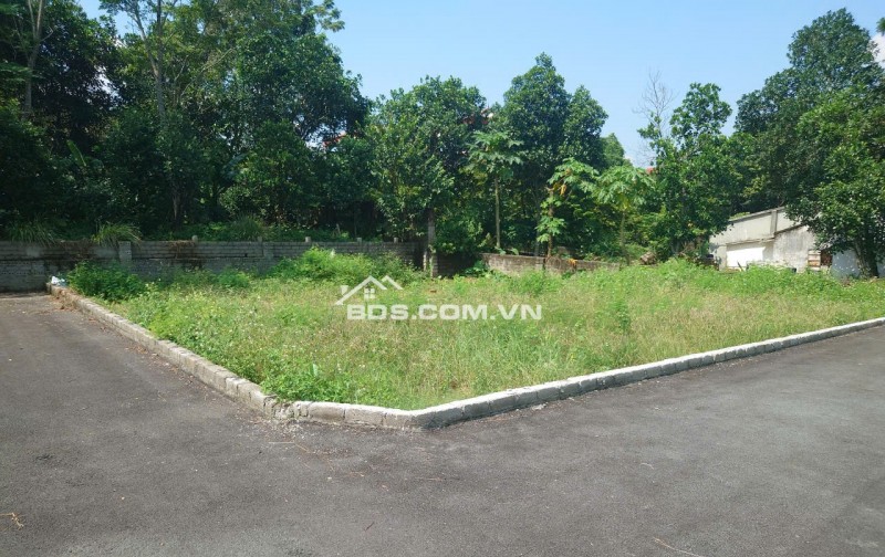 Bán gấp đất tại Xuân Khanh, Sơn tây 110m2 MT 7m, giá rẻ mua ngay có lãi liền tay.