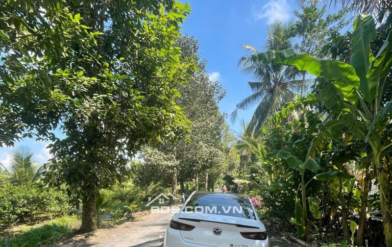 ĐẤT VƯỜN DỪA 1500 M2 ĐANG THU HOẠCH (CÓ 200 M2 THỎ CƯ), LỘ  NHỰA 5 TẤN