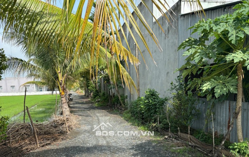 Chính Chủ 179m2 Đất Tại Ấp 2, Xã Hữu Thạnh, Huyện Đức Hoà, Long An. Full Thổ Cư.