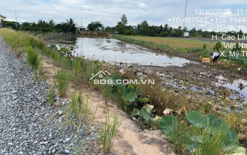 Chính Chủ Bán 03 Nền Đất Tại Xã Mỹ Thọ, Huyện Cao Lãnh, Tỉnh Đồng Tháp