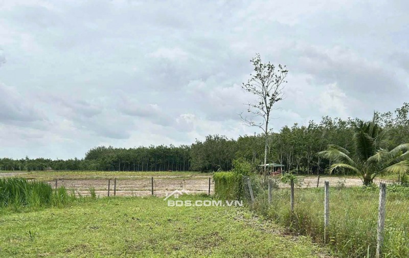 Kẹt Tiền Xây Nhà Chính Chủ Bán Gấp 160m2 Đất Tại Ấp Tua Hai, Huyện Châu Thành, Tỉnh Tây Ninh