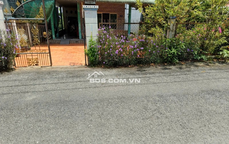 Chính Chủ Bán Nhà Đất 722,8m2 Mặt Tiền Đường Nhựa Lê Hồng Phong Tại Thị Trấn Lai Vung, Đồng Tháp.