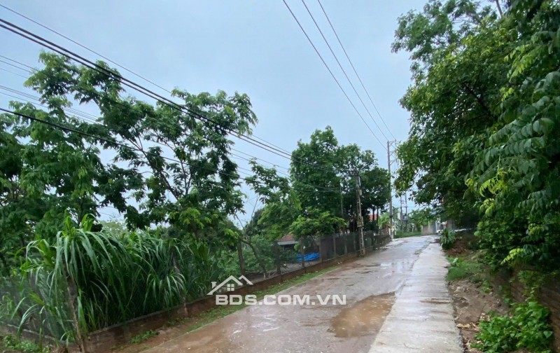 E đang có 2 lô phú sơn 113m2 ,  156m2  Gọi e hậu để sở hữu ngay 