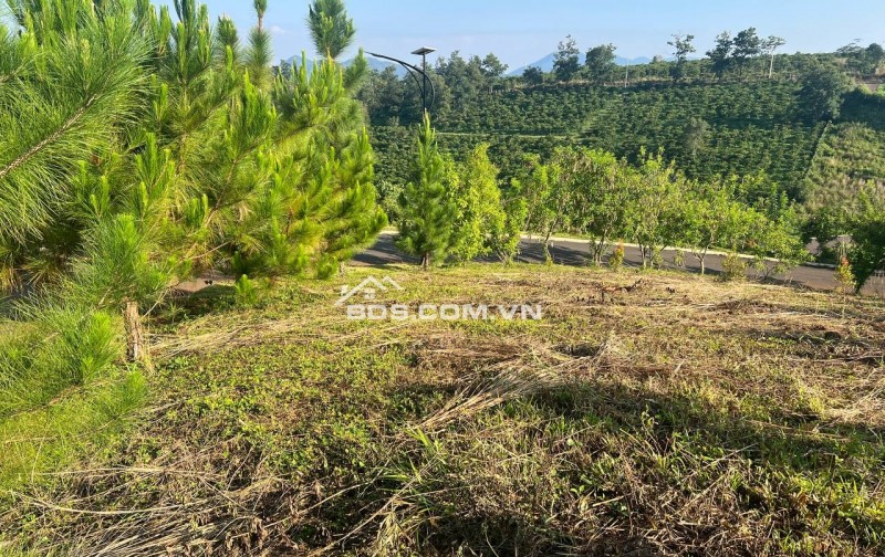  BÁN LÔ MẶT TIỀN DỰ ÁN LA NATURE BẢO LỘC – FULL THỔ CƯ, GIÁ TỐT NHẤT KHU VỰC 