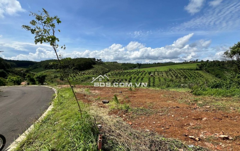 Bán lô đất nền khu nghỉ dưỡng P2 Bảo Lộc, cách ngã 5 Đambri 6 phút đi xe