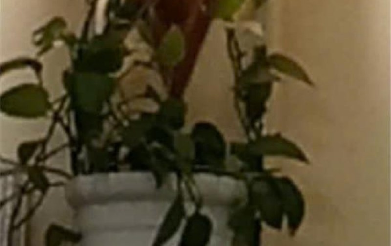 RẺ NHẤT PHỐ PHÚ DIỄN – BÁN NHÀ ĐẸP LONG LANH – LÔ GÓC – Ô TÔ ĐỖ CỬA – KINH DOANH – THANG MÁY