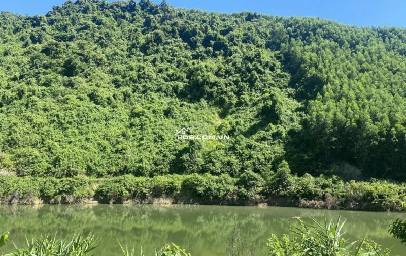 Bán khu Eco Farm Hòa Bắc – 3.5ha đất view suối đồi cực đẹp, tiềm năng du lịch sinh thái – giá 18.3 tỷ
