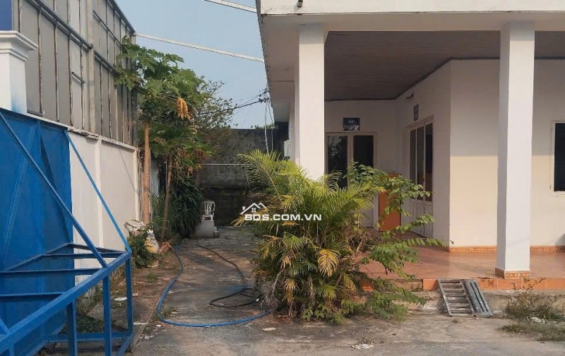 Bán xưởng DN Factory mặt tiền Phùng Thị Liếu, Củ Chi – 1.650m² đất thổ + cây lâu năm, giá chỉ 15.5 tỷ (có thương lượng)