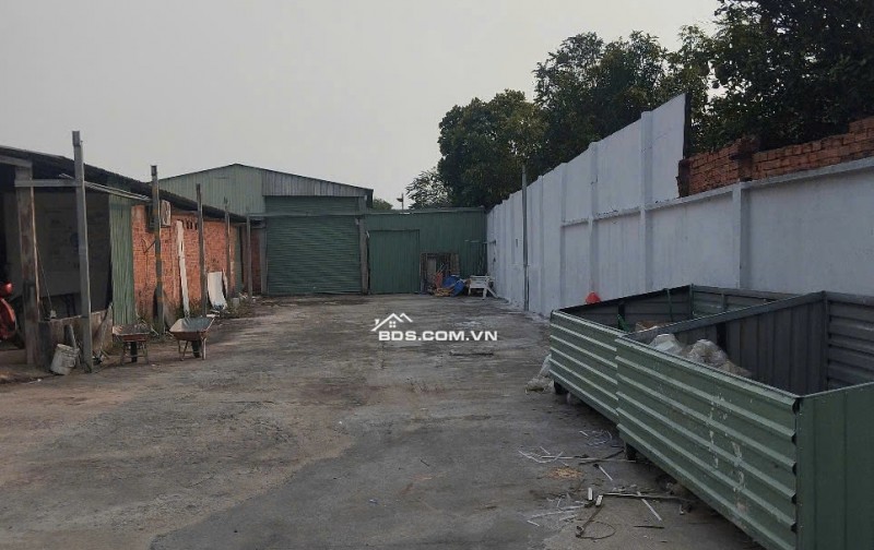 Bán xưởng DN Factory mặt tiền Phùng Thị Liếu, Củ Chi – 1.650m² đất thổ + cây lâu năm, giá chỉ 15.5 tỷ (có thương lượng)