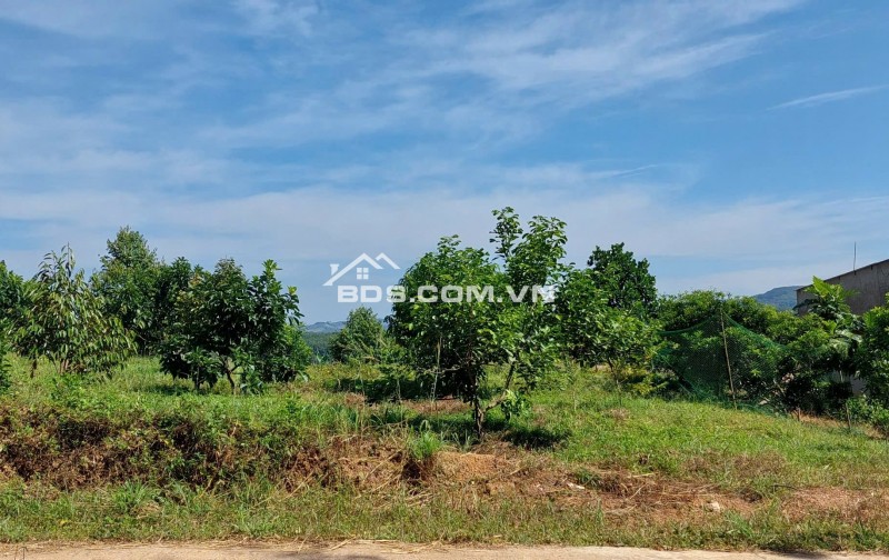 Chủ kẹt tiền cần bán gấp vườn sầu riêng 5800m2