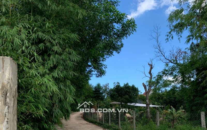 MỞ BÁN 15 LÔ GIAI ĐOẠN 2 TẠI KHU DÂN CƯ DẠ LÊ, PHƯỜNG THANH THỦY, TP HUẾ