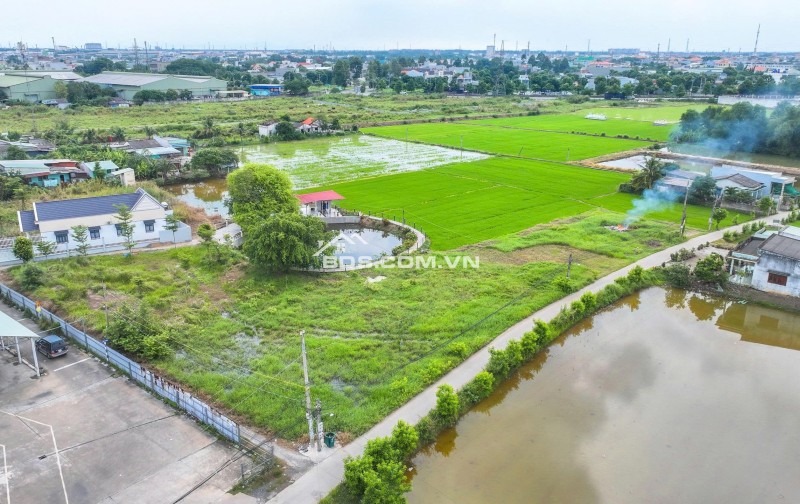 Bán ngộp đất Long An giá rẻ dt 5x30 8x30 ngay thị trấn Bến Lức