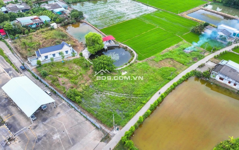 Bán ngộp đất Long An giá rẻ dt 5x30 8x30 ngay thị trấn Bến Lức