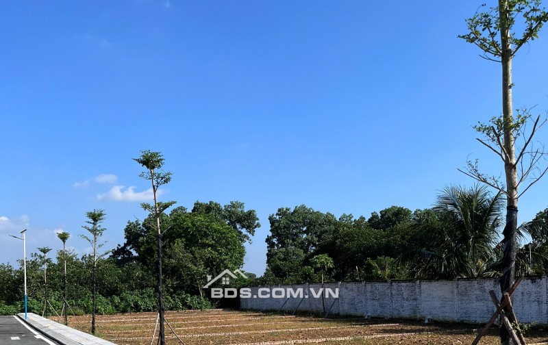 Cơ hội hiếm hoi sở hữu đất nền Hòa Lạc 100m2 full thổ cư, giá FO, gần khu công nghệ cao & Đại học quốc gia