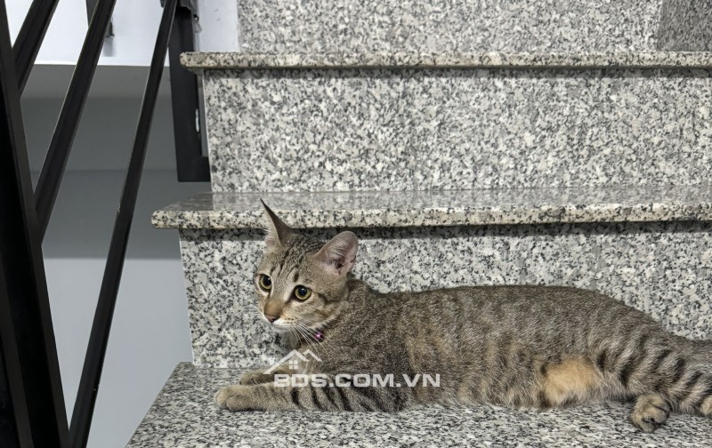 Chính Chủ Cần Bán Nhà 2 Lầu Kèm Đất Thổ Cư Tổng Diện Tích Lên Đến 190m2