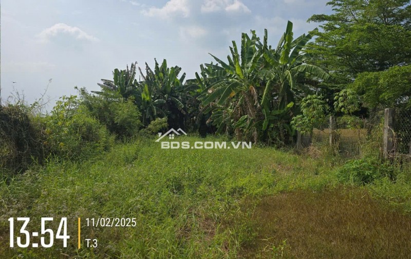 Chính chủ bán đất 1030m2 giá 7,2 tỷ, tp. Tân An, Long An