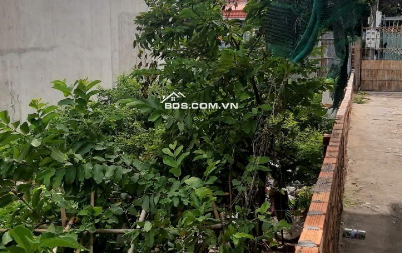 BÁN 236.1M2 ĐẤT TẠI TP VŨNG TÀU, SHR CHỈ 6.1 TỶ. LH: 0969619222.