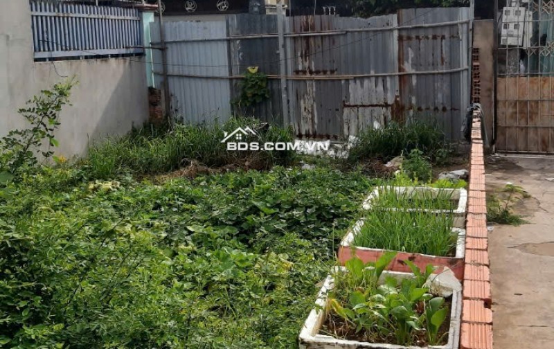 BÁN 236.1M2 ĐẤT TẠI TP VŨNG TÀU, SHR CHỈ 6.1 TỶ. LH: 0969619222.