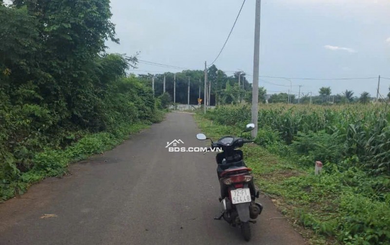 7,5x28 82m thổ cư, mặt tiền đường nhựa, đối diện cty Cao Phát, thích hợp đầu tư, giá 1tỷ