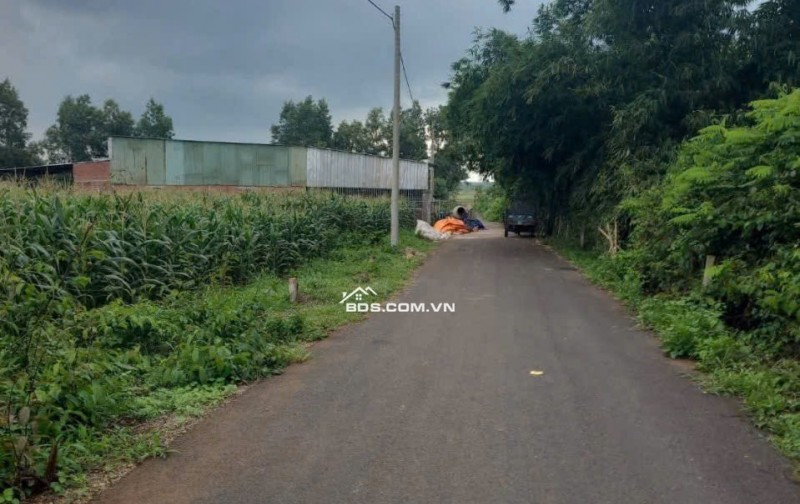 7,5x28 82m thổ cư, mặt tiền đường nhựa, đối diện cty Cao Phát, thích hợp đầu tư, giá 1tỷ