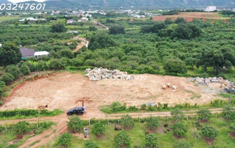 BÁN ĐẤT NỀN TẠI CAM LÂM KHÁNH HÒA GẦN KHU CÔNG NGHIỆP SUỐI DẦU