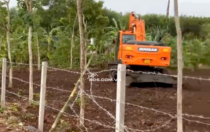 2sao8 đường nhựa,thích hợp đầu tư làm vườn, giá 680tr/sào