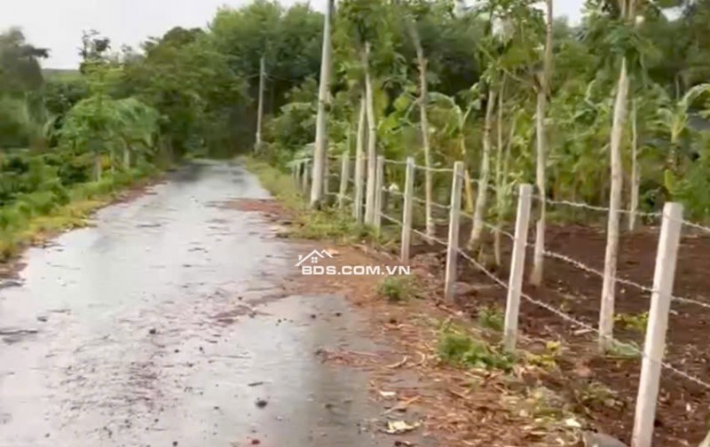 2sao8 đường nhựa,thích hợp đầu tư làm vườn, giá 680tr/sào